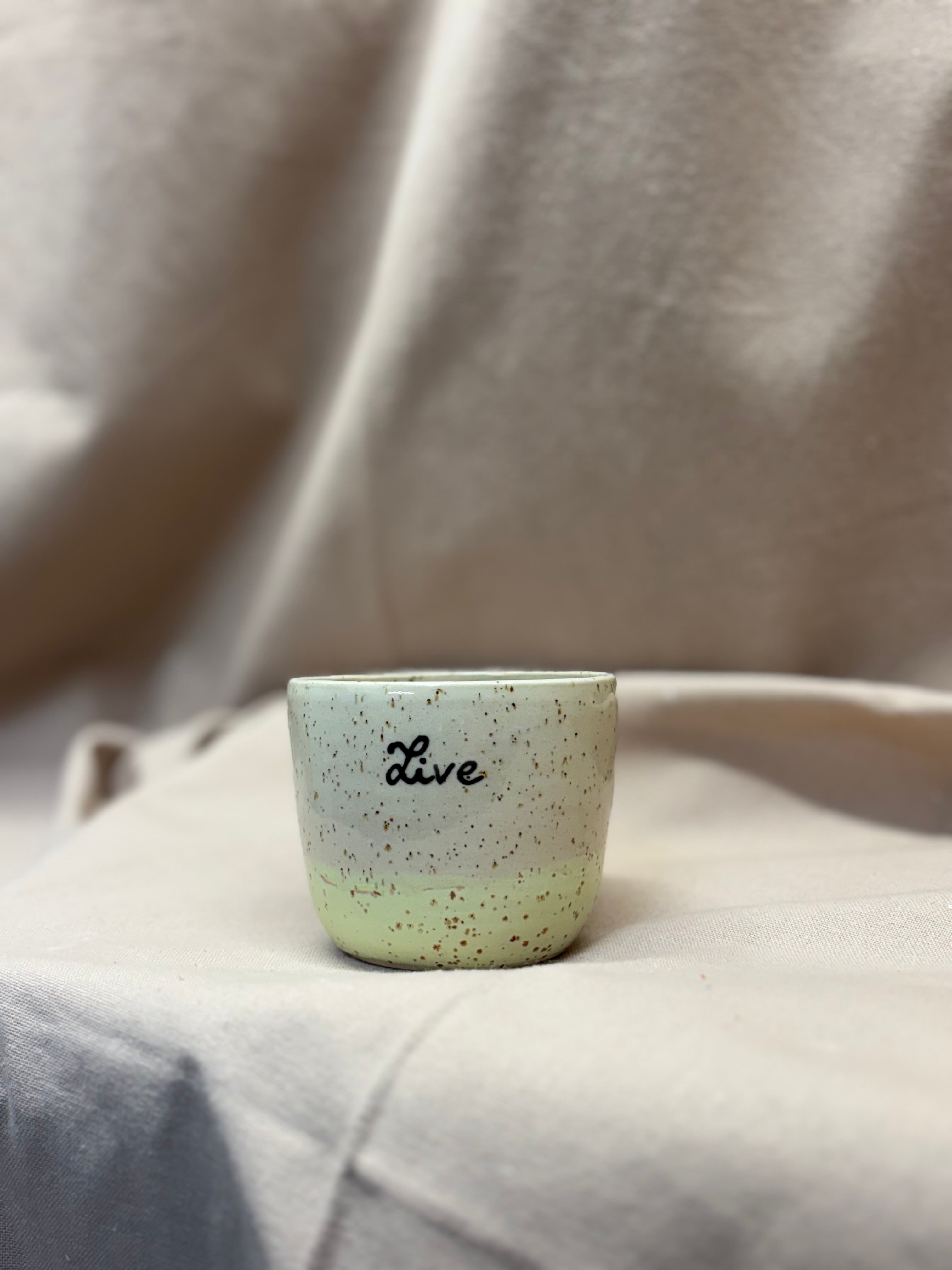Tasse Live