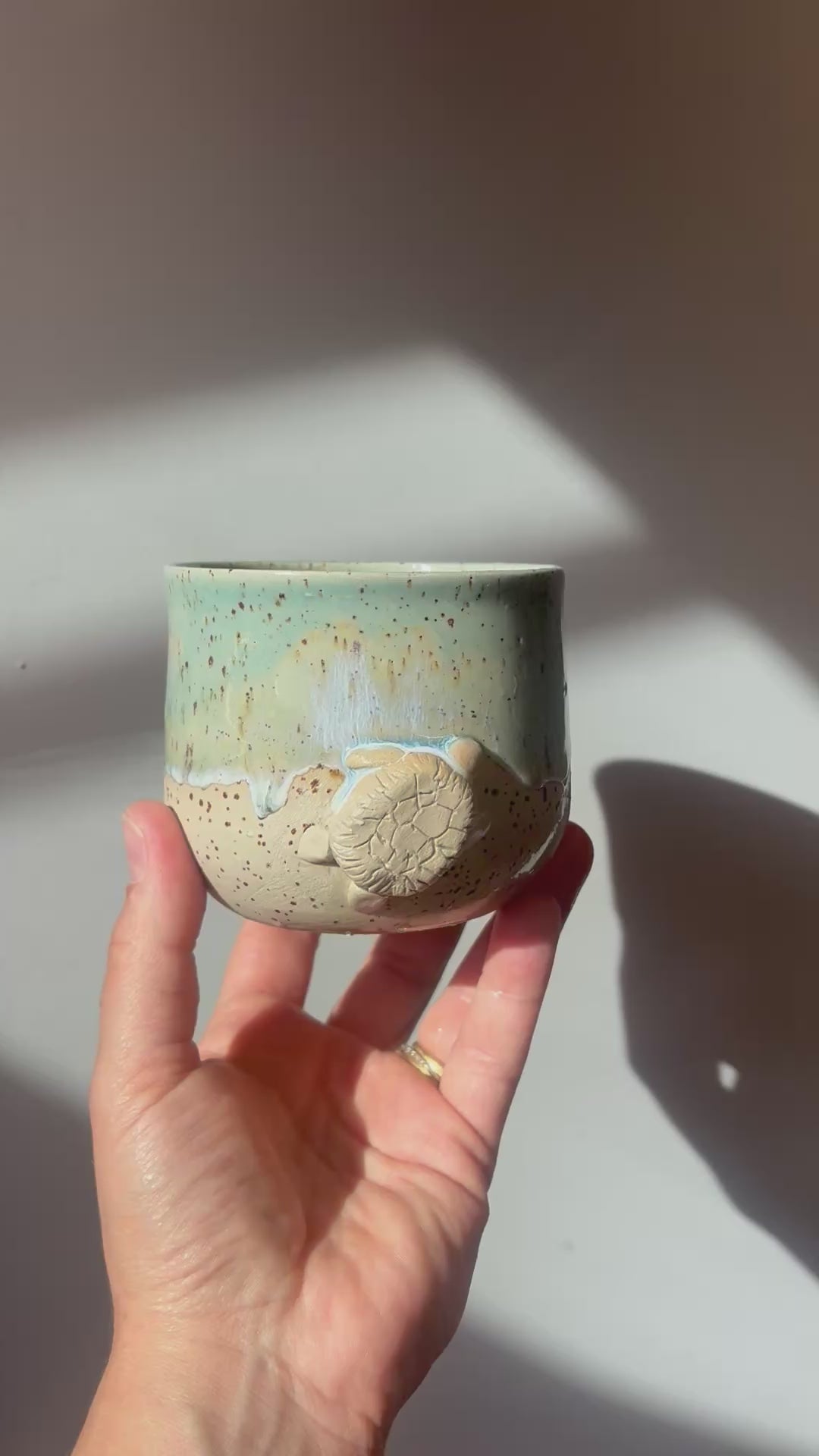 Précommande : Tasse tortue